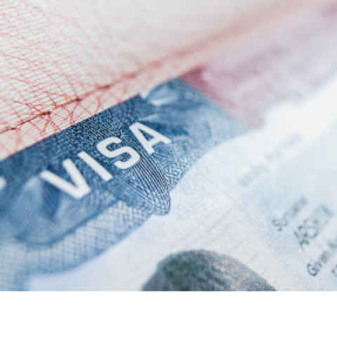 Visa Processing: A Step-by-Step Guide